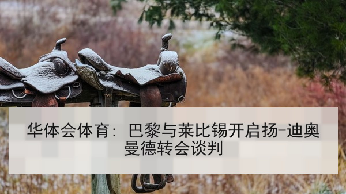 华体会体育: 巴黎与莱比锡开启扬-迪奥曼德转会谈判 华体会体育: 巴黎与莱比锡开启扬-迪奥曼德转会谈判