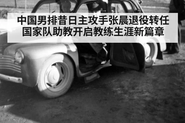中国男排昔日主攻手张晨退役转任国家队助教开启教练生涯新篇章
